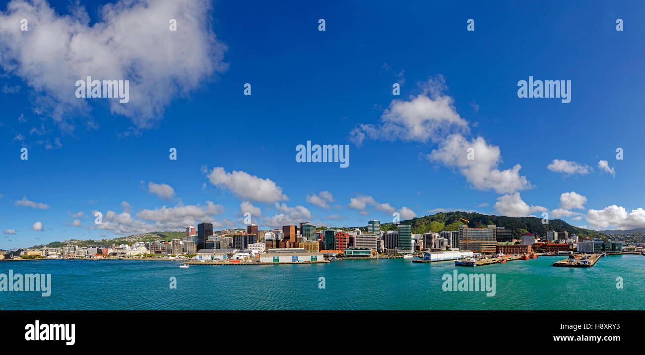 Vista panoramica della baia di orientali e Lambton Harbour, Wellington, Isola del nord, Nuova Zelanda Foto Stock