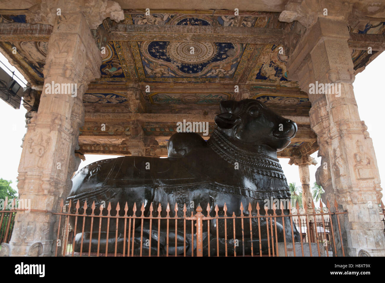 Enorme Nandi monolitico, il tempio di Brihadisvara, Tanjore, Tamil Nadu, India. Foto Stock