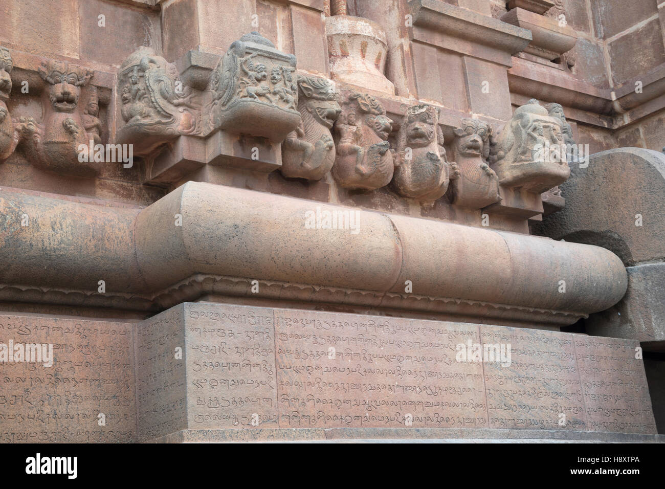 Iscrizioni in eleganti Chola Grantha e Tamil lettere sul lato settentrionale della base, il tempio di Brihadisvara, Tanjore, Tamil Nadu, India. Foto Stock
