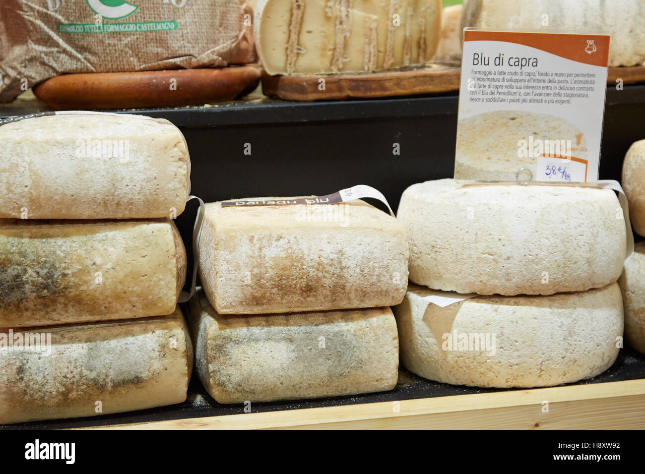 Formaggio di capra in vendita durante il Bianco di Alba Fiera del Tartufo di Alba, Italia Foto Stock