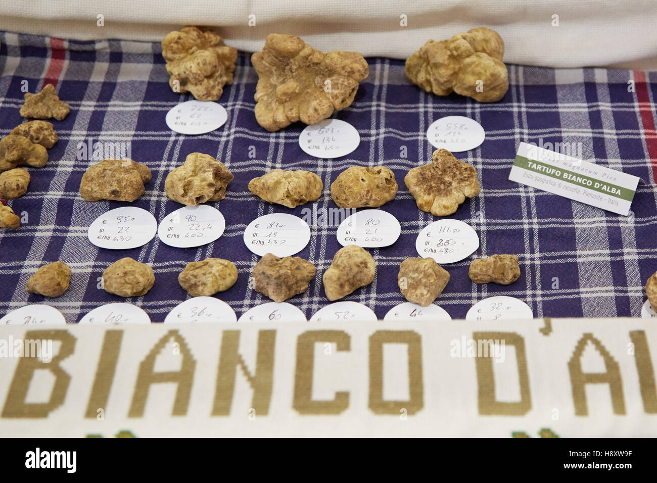 Grandi e piccoli tartufi bianchi in vendita durante il Bianco di Alba Fiera del Tartufo di Alba, Italia Foto Stock