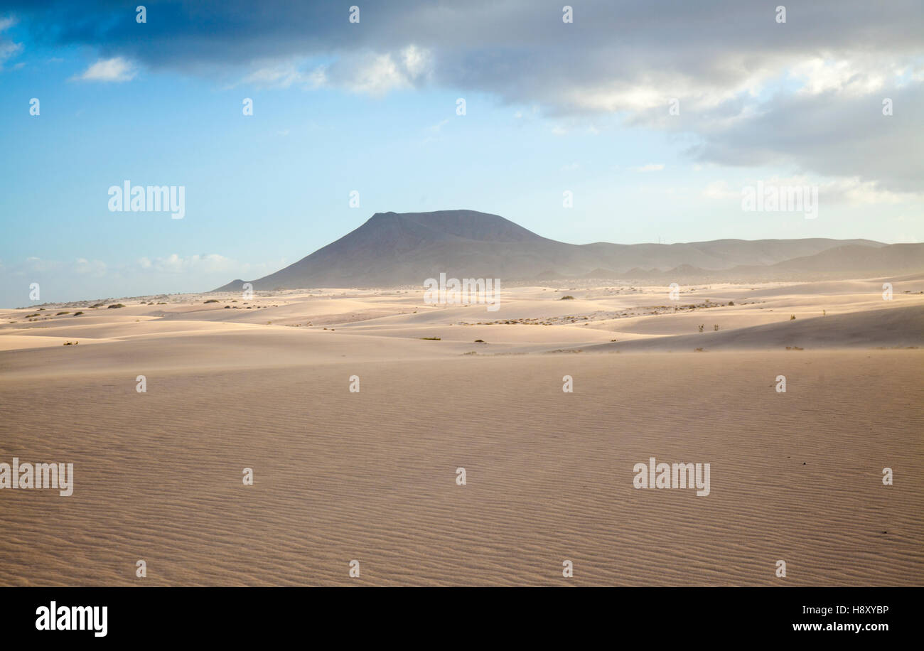 Bassa luce della sera in Dune di Corralejo Fuerteventura Isole Canarie Foto Stock