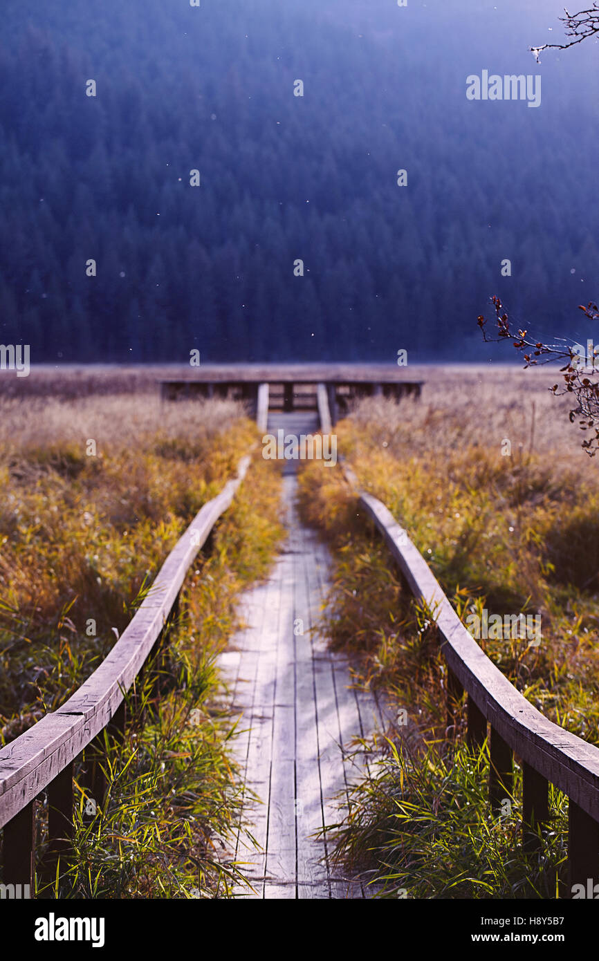 Autunno escursionismo nel nord-ovest Foto Stock