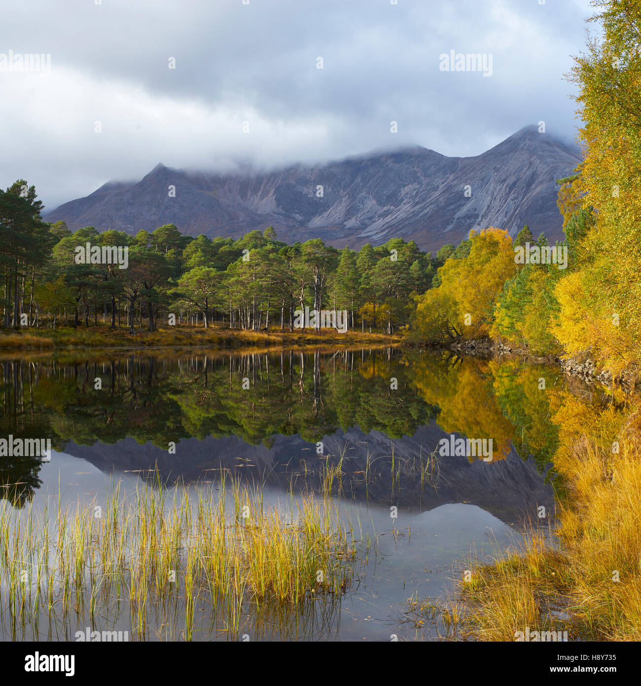 Beinn Eighe e Loch Coulin, Torridon, Wester Ross, Highland, Scozia. Autunno Foto Stock