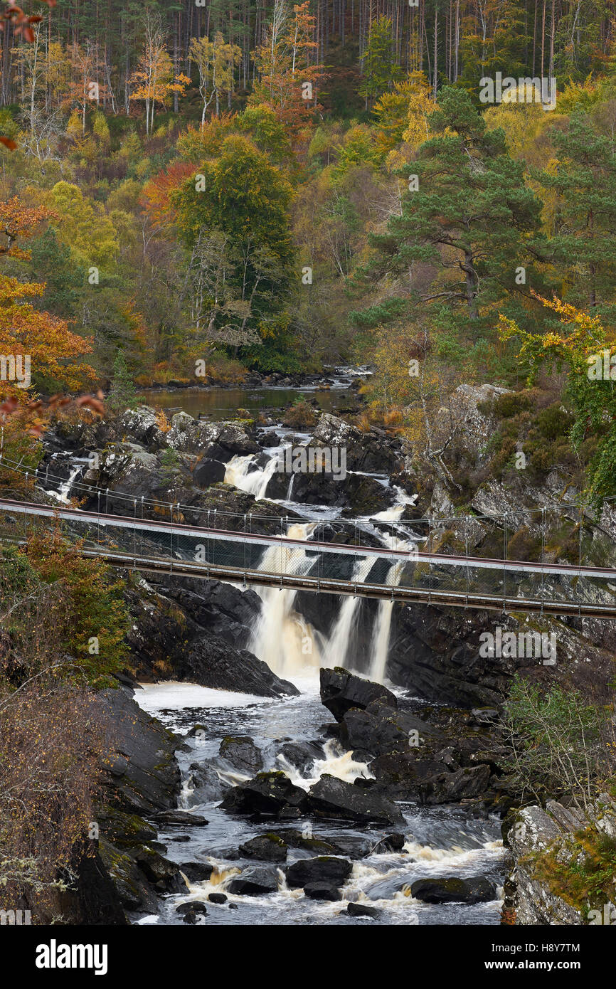 Logie Falls, Contin, Ross and Cromarty, Highland, Scozia Foto Stock