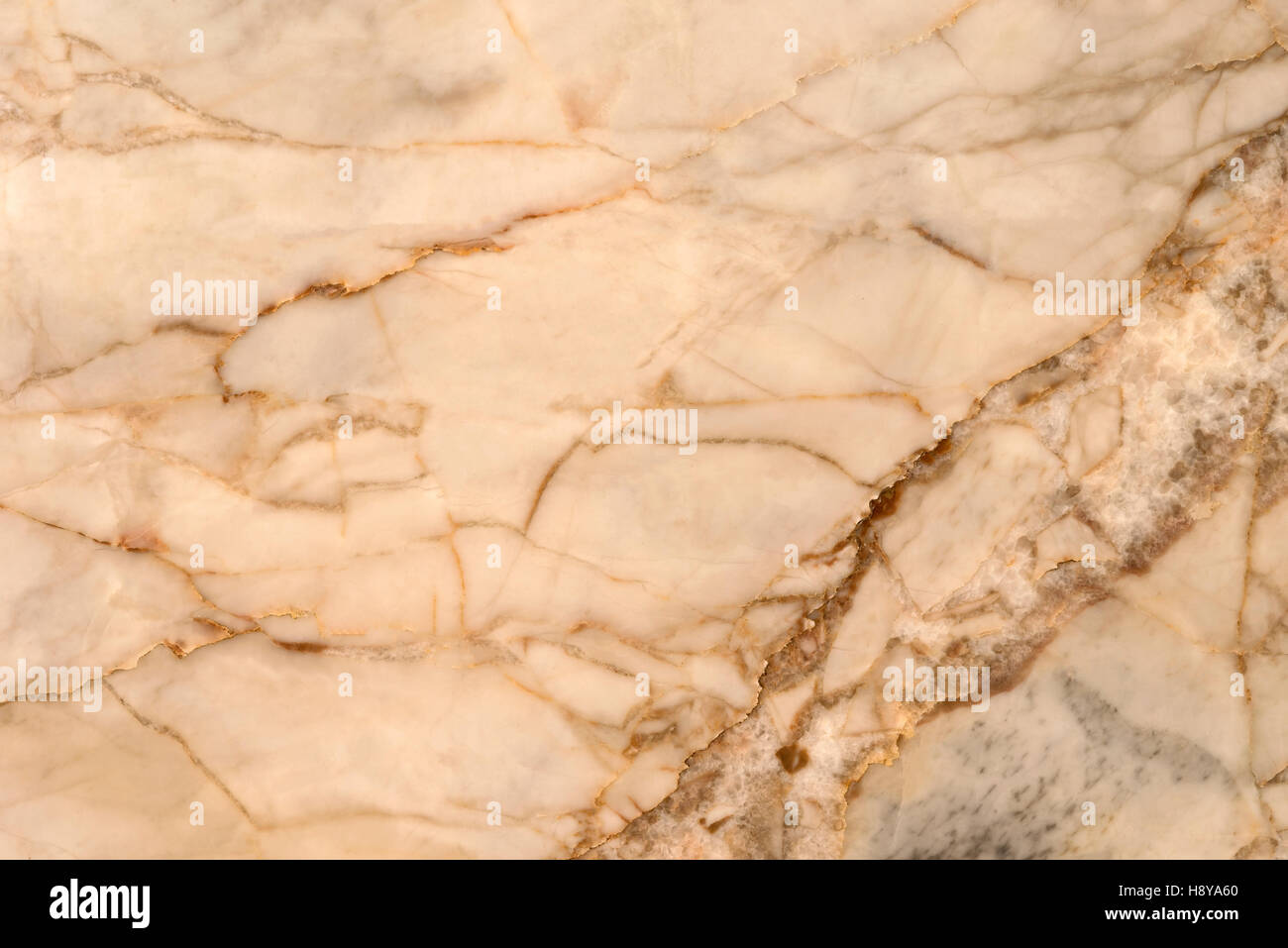 Texture di marmo per lo sfondo e il design. Foto Stock