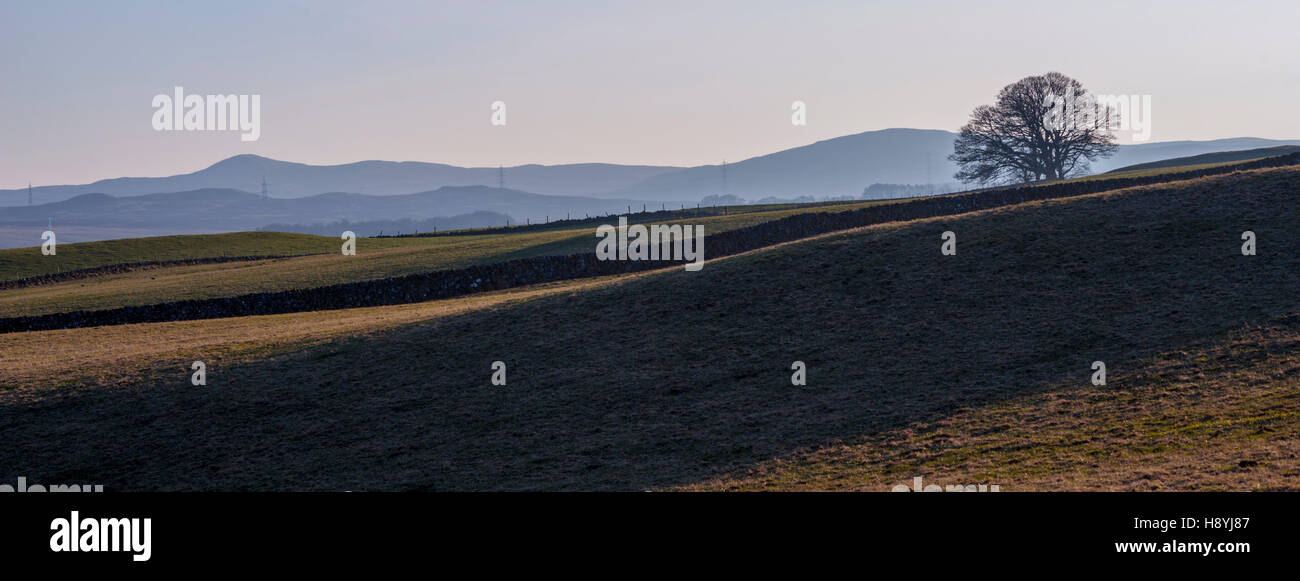 Il renfrewshire colline guardando verso sud da kilmacolm Scozia. Foto Stock