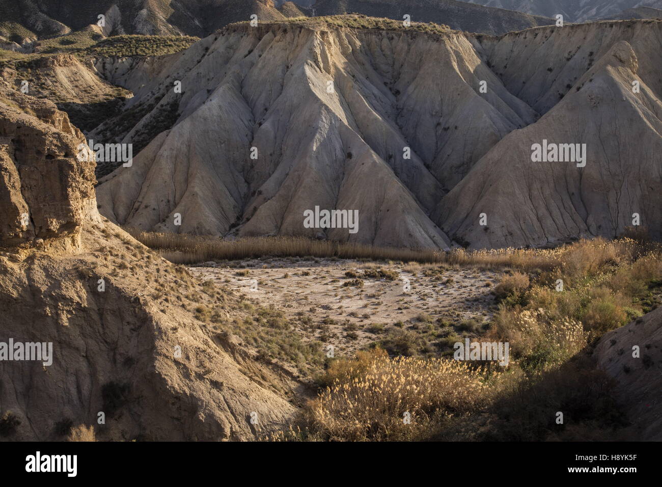 Badlands al Taberna, Desierto de Tabernas - eroso Miocene sedimenti, a nord di Almeria, Spagna. Foto Stock