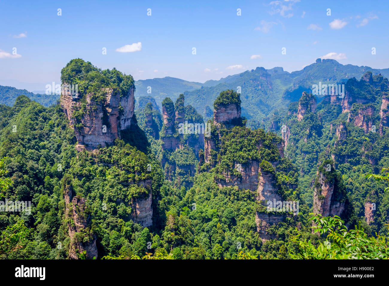 Vista su alte colonne di arenaria e le formazioni in Zhangjiajie national park, Hunan, Cina Foto Stock