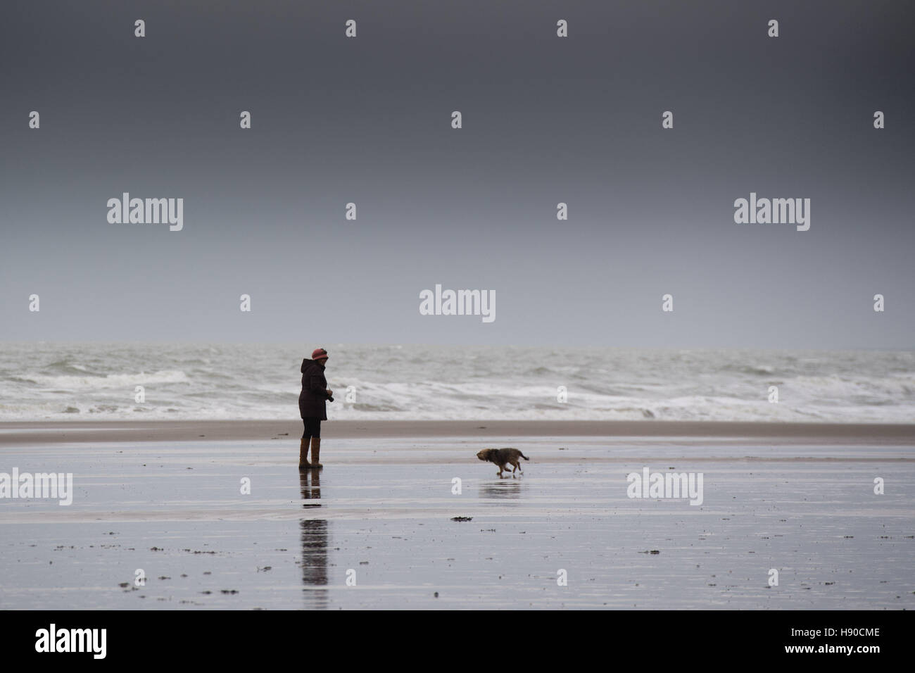 Borth, Cardigan Bay, Ceredigion , Wales UK. Martedì 10 Gennaio 2017 UK Meteo: una donna che cammina il suo piccolo cane sulla spiaggia di Borth sulla West Wales coast su un blustery nuvoloso giorno. Previsioni del tempo per le prossime 25 ore è per sempre più forti venti in gran parte ovest del Regno Unito e per la neve per arrivare dal weekend Credito: keith morris/Alamy Live News Foto Stock