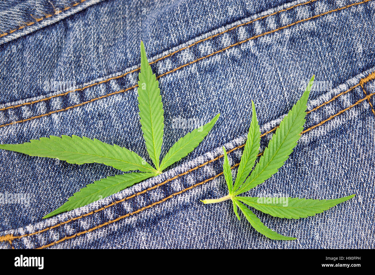 Foglie di marijuana su un vecchio jeans blu Foto Stock