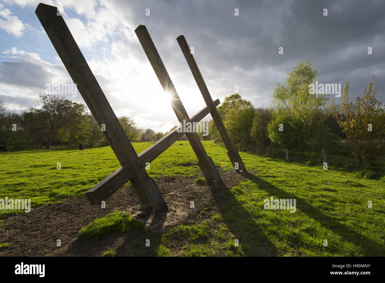 Scultura in legno su verdi pascoli, Landkreis Vechta, oldenburg münsterland, Bassa Sassonia, Germania Foto Stock