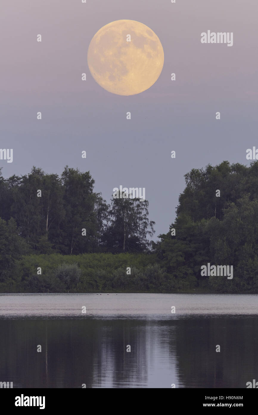 Luna piena sopra il dammer bergsee vicino a Damme (dümmer), vechta distretto, Bassa Sassonia, Germania Foto Stock