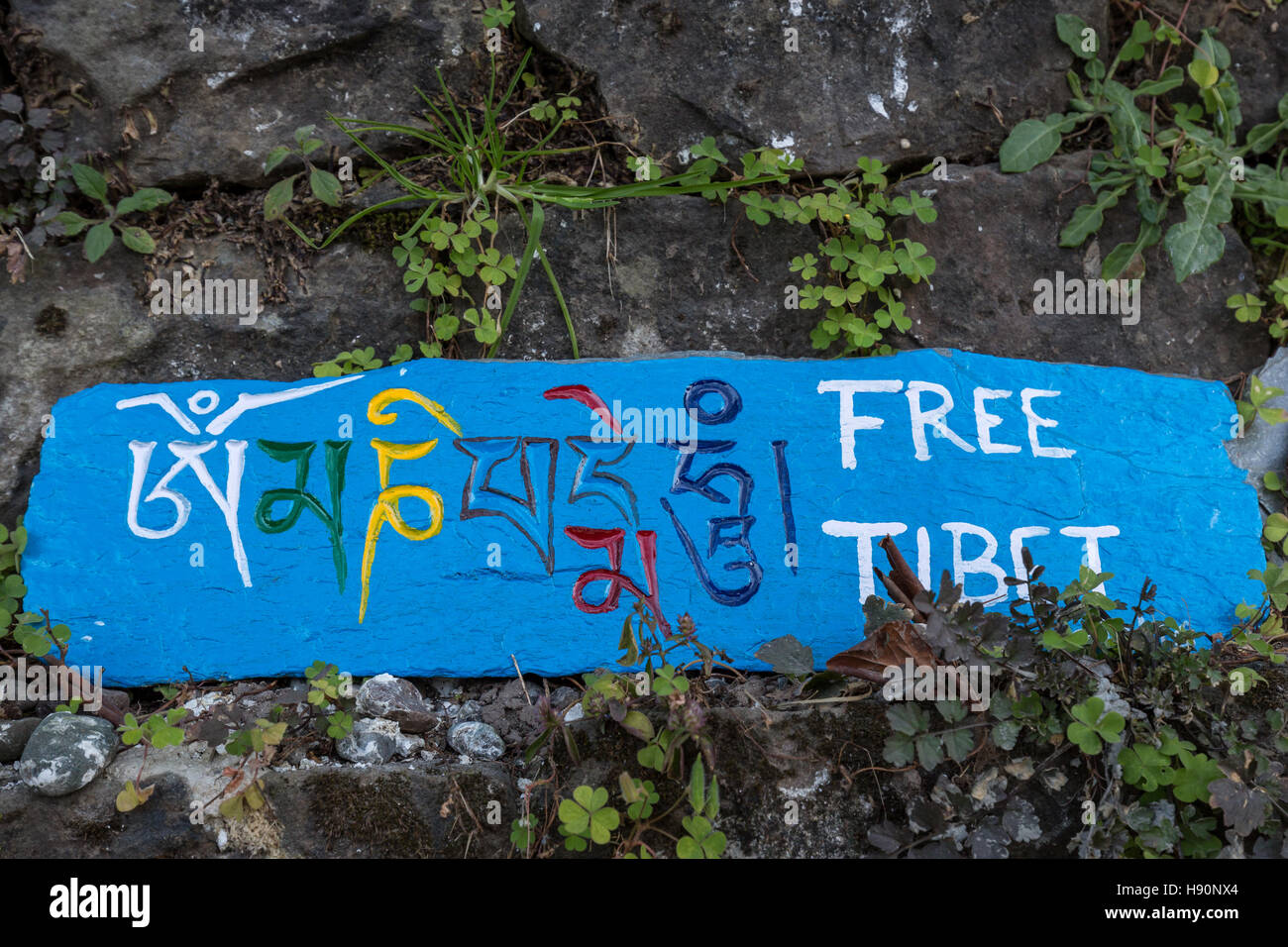 Pietra scolpita con messaggi buddista lungo il percorso in Mcleod Ganj, India Foto Stock