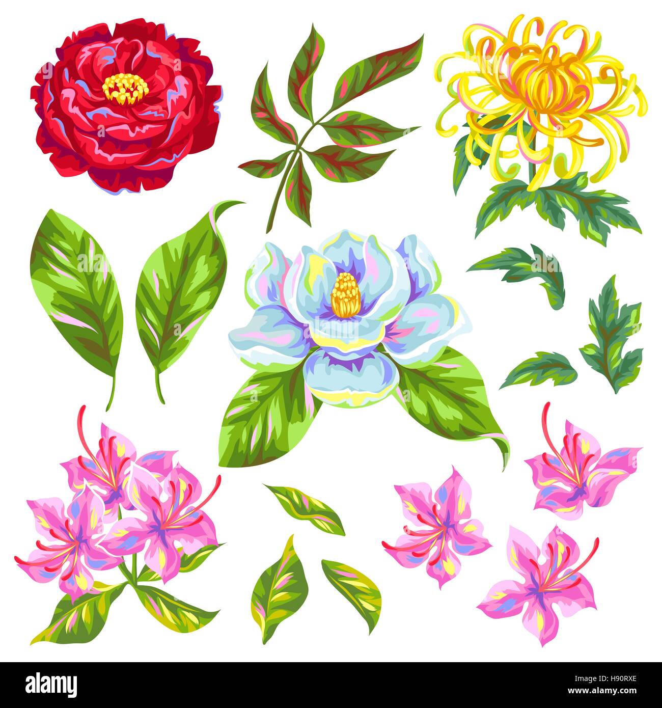Cina fiori set. Gemme luminose di magnolia, peonia, rododendri e crisantemo Illustrazione Vettoriale