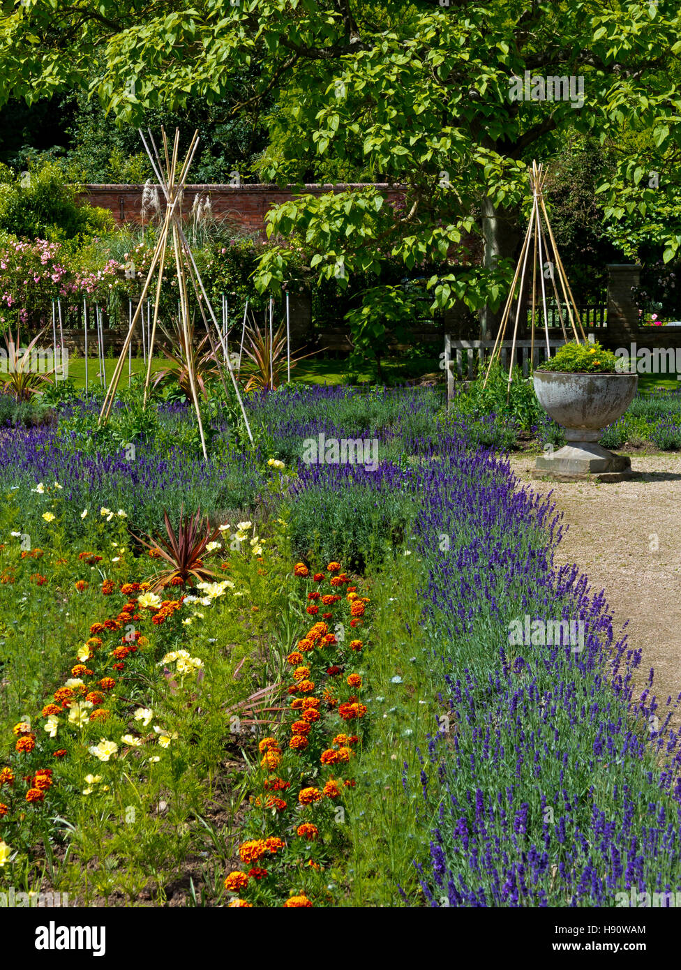 Il vecchio giardino inglese nella motivazione della: Elvaston Country Park vicino a Derby Derbyshire England Regno Unito Foto Stock