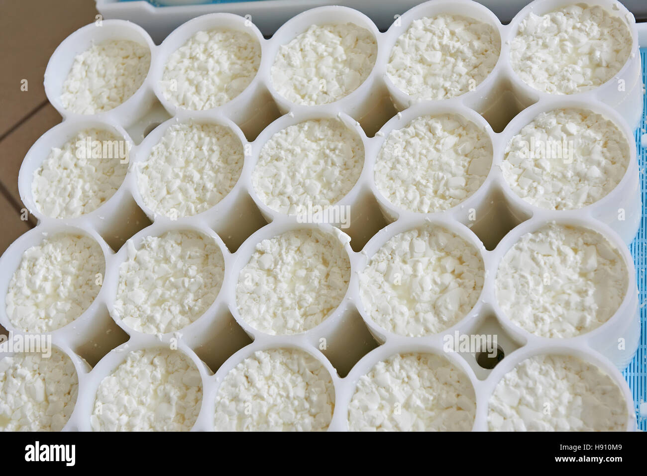 Stampi con semilavorati per la produzione di formaggio a pasta morbida Foto Stock