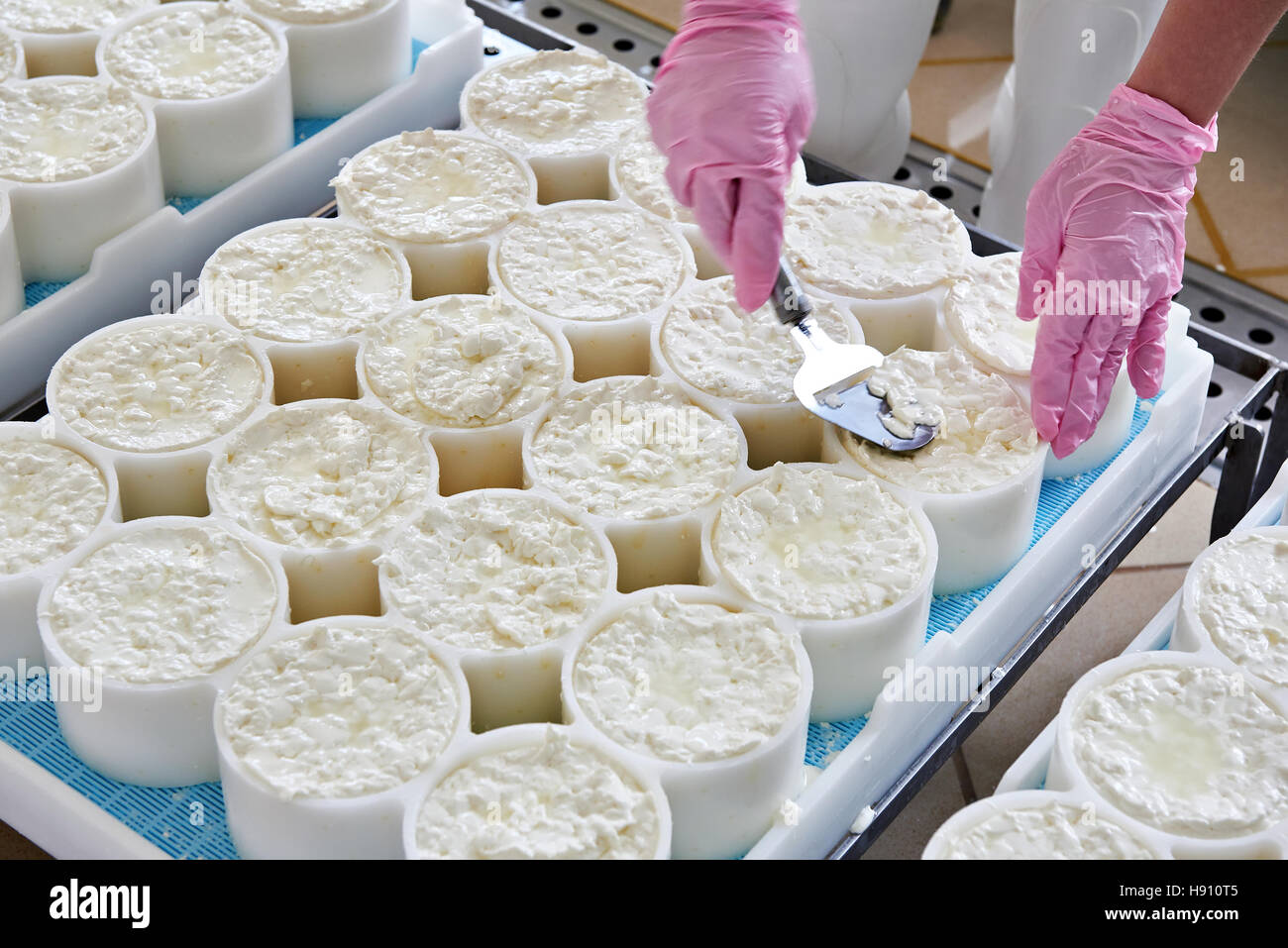 Allineamento del materiale di formaggio in stampi per la produzione di formaggio a pasta morbida Foto Stock