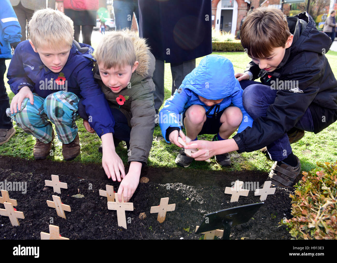 I ragazzi di piantare papaveri sul ricordo Domenica, Haslemere, Surrey, Regno Unito. Il 13 novembre 2016. Foto Stock