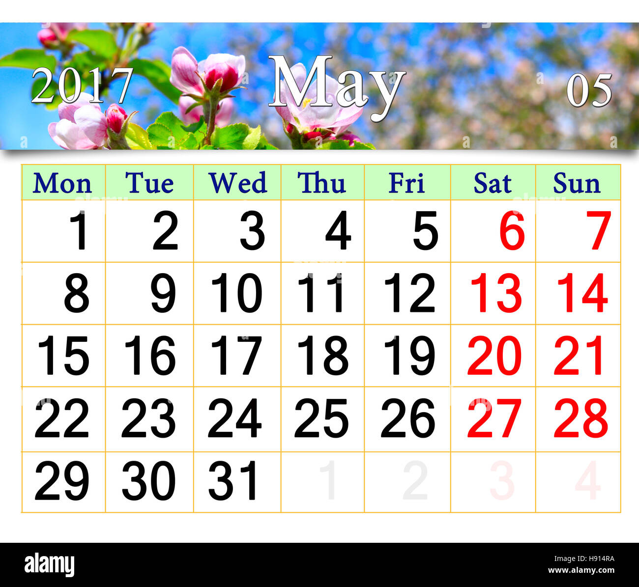 Calendario per il mese di maggio 2017 con boccioli di rosa di fioritura melo Foto Stock