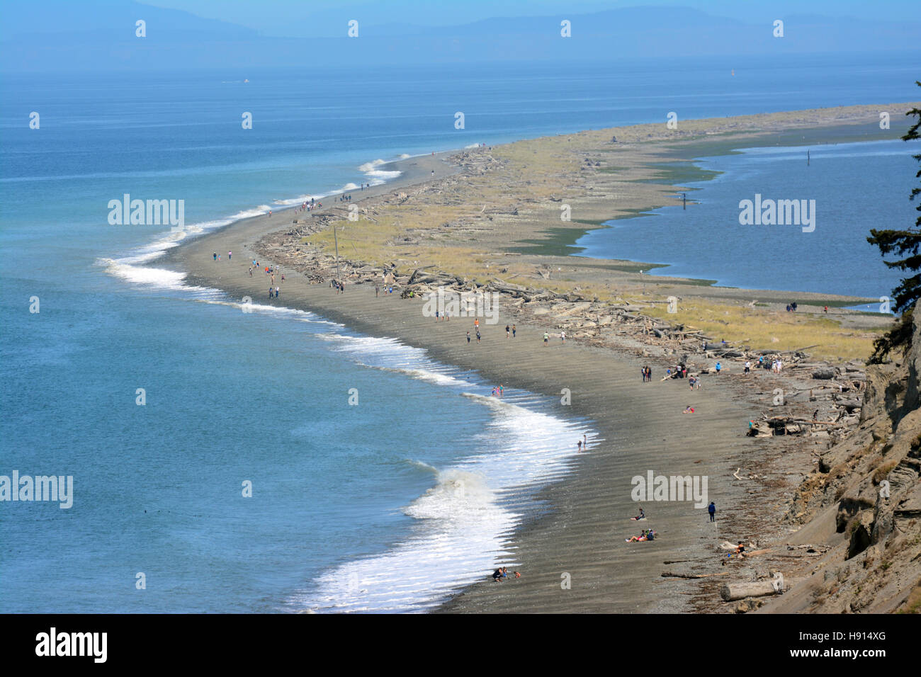 Spiaggia di Dungeness in Washington, Stati Uniti d'America Foto Stock