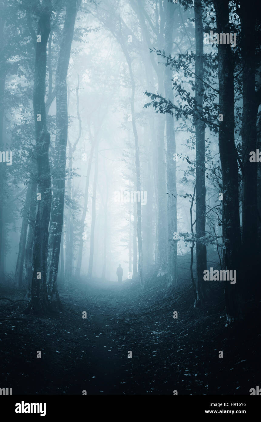 Scary Halloween paesaggio. Atmosfera cupa selva oscura scena con uomo a camminare sul percorso spooky nella nebbia al crepuscolo Foto Stock