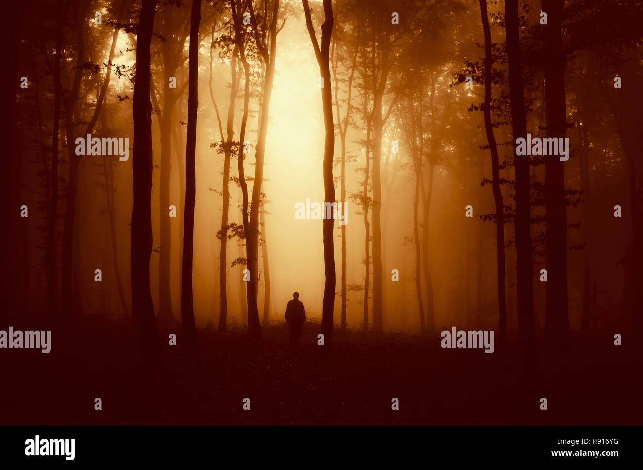 Scena di fantasia, silhouette uomo nella foresta misteriosa nella luce del tramonto Foto Stock
