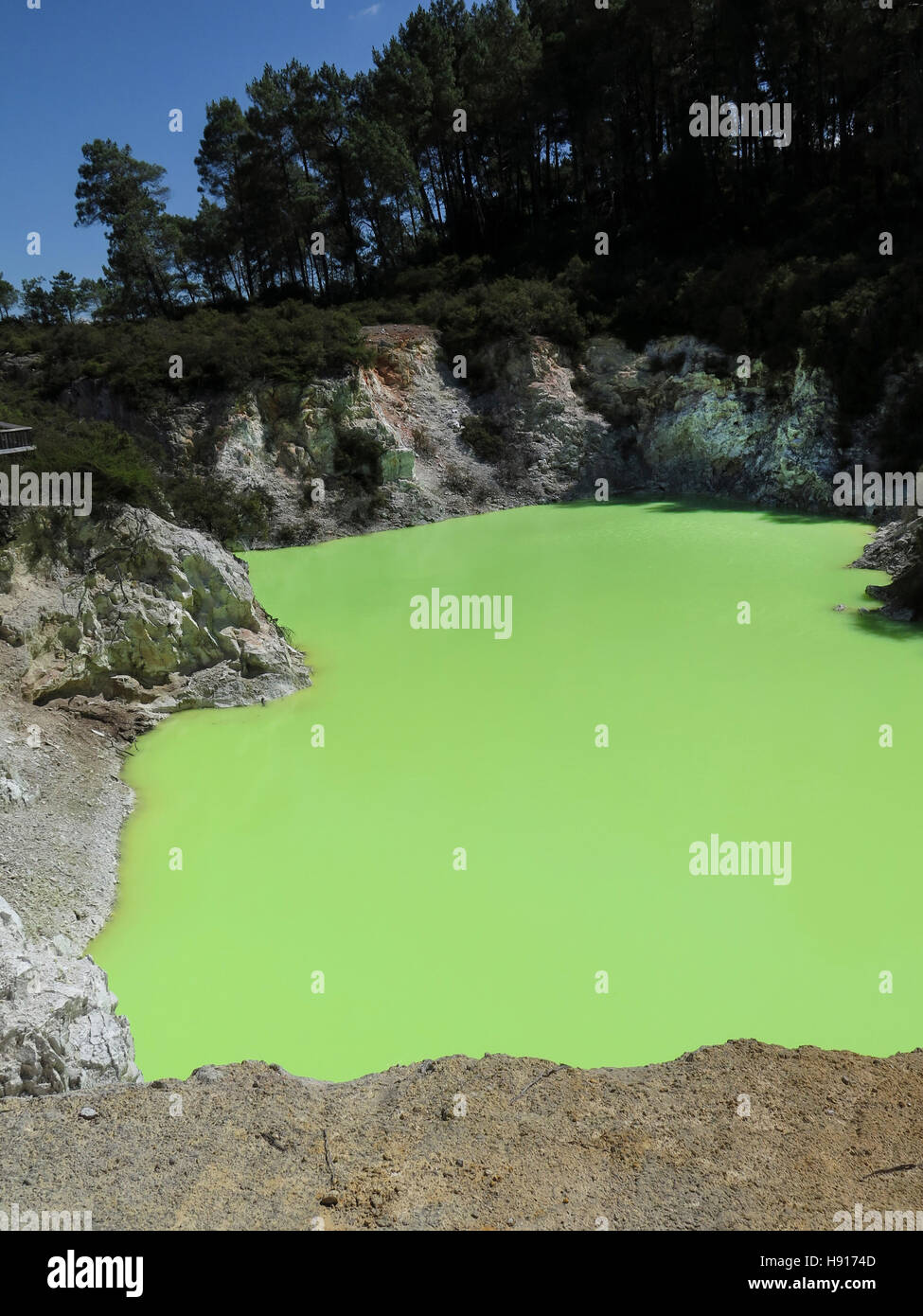 Devil's Bagno a Waiotapu Parco Termale, Rotorua, Isola del nord, Nuova Zelanda Foto Stock