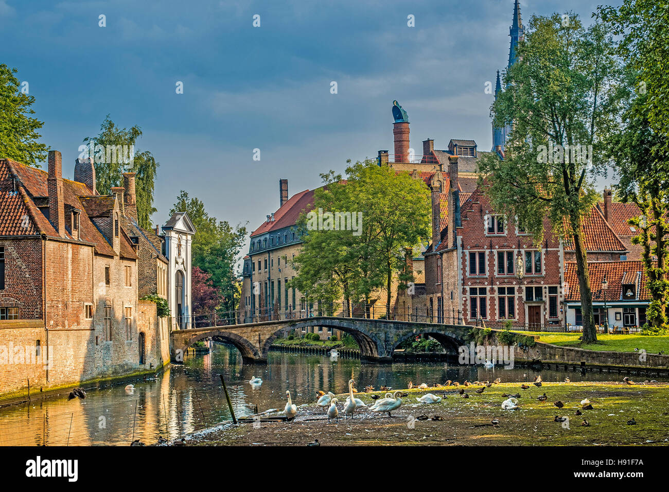 Cigni a Minnewater Lago e Begijnhof Bruges Belgio Foto Stock