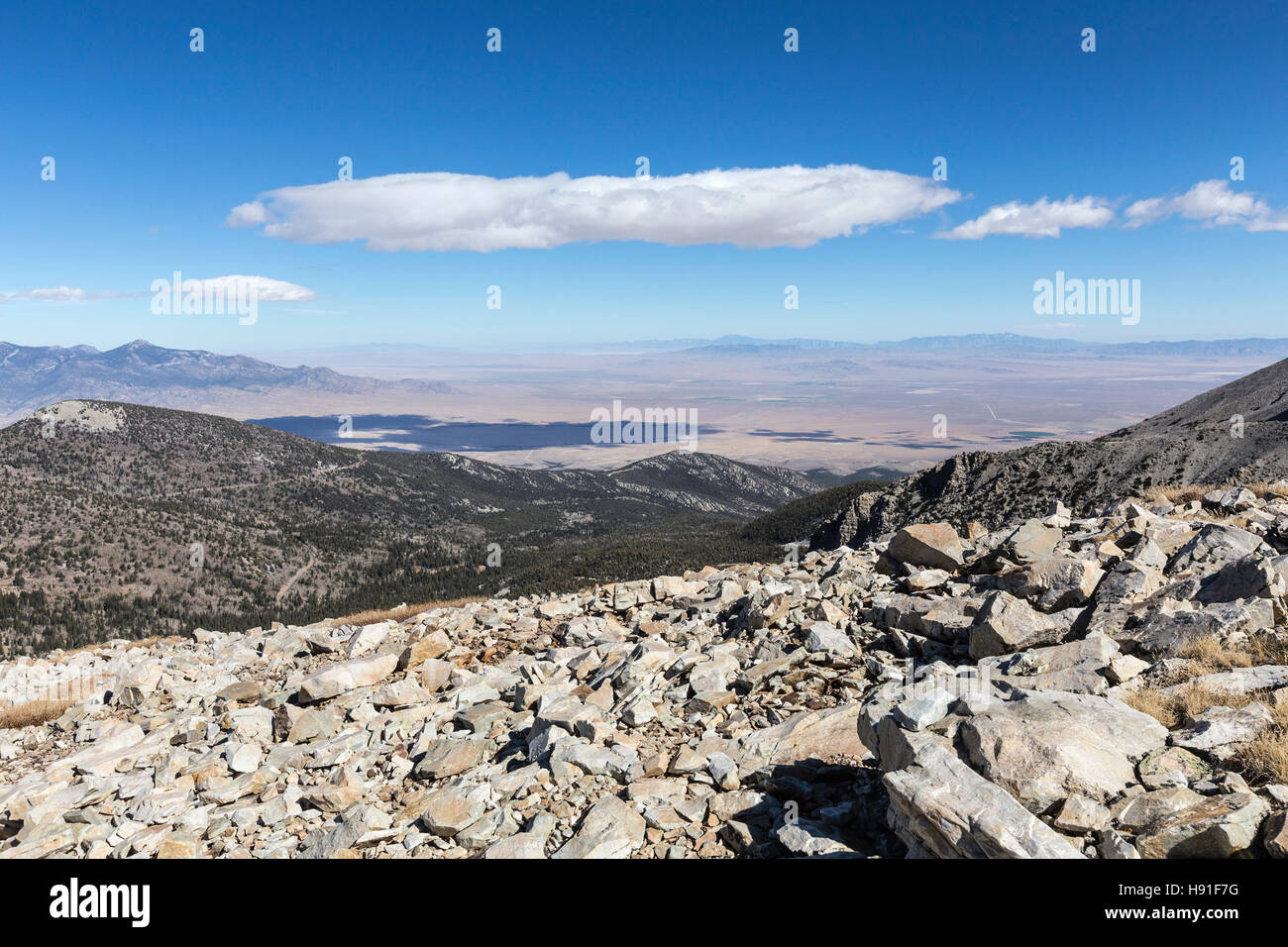 Deserto vista montagna da Wheeler Peak trail nel Parco nazionale Great Basin nella parte orientale del Nevada. Foto Stock