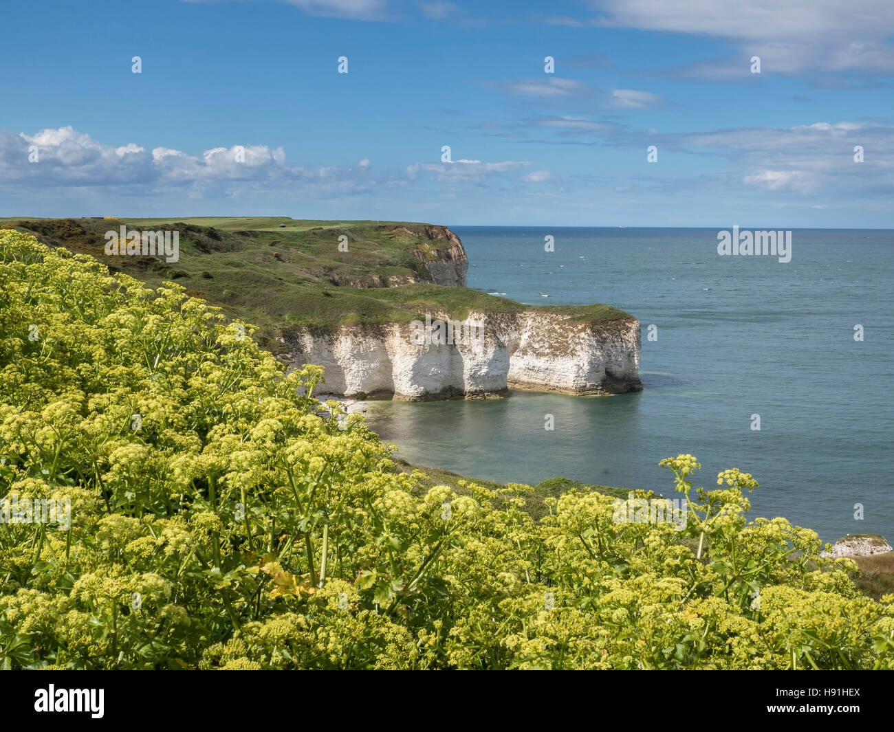 Selwicks Bay, Flamborough Head, East Yorkshire Foto Stock