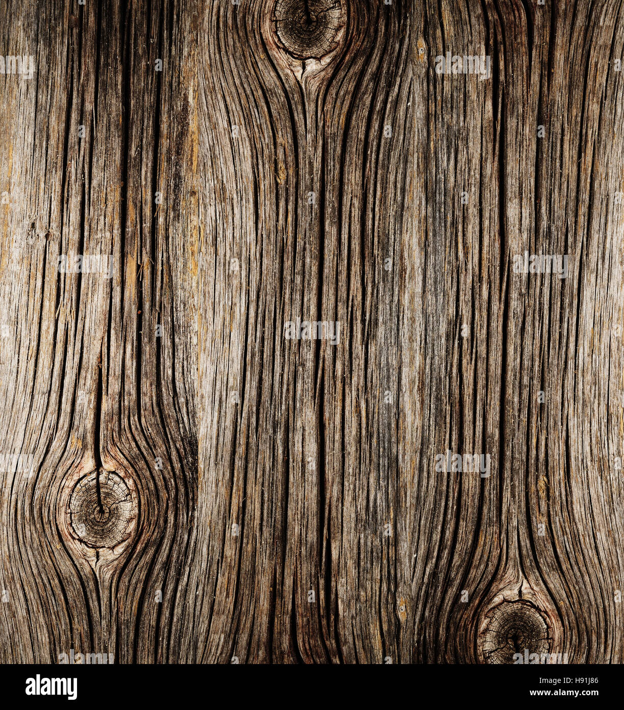 La superficie ruvida del legno vecchio con nodi Foto Stock