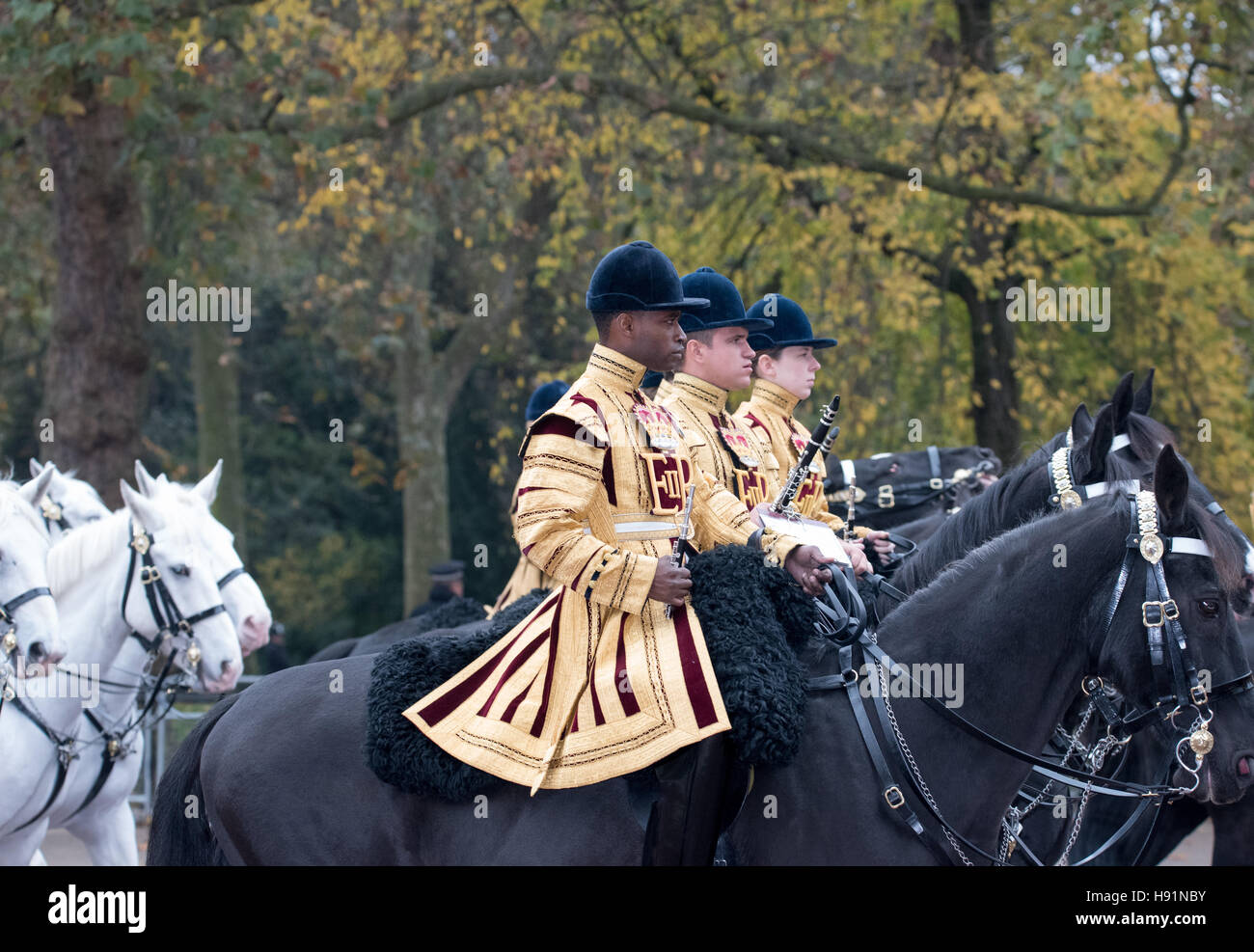 Domestico banda di cavalleria su corteo cerimoniale, Londra Foto Stock