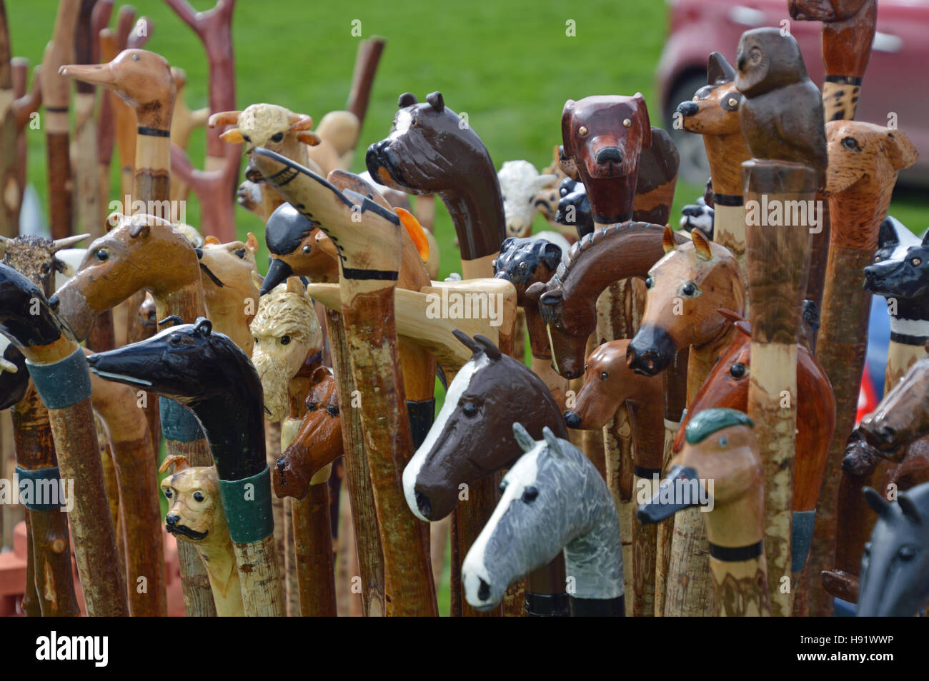 Collezione di bastoni da passeggio con manici intagliato, in mostra presso il villaggio di Beulah Show, POWYS, GALLES Foto Stock
