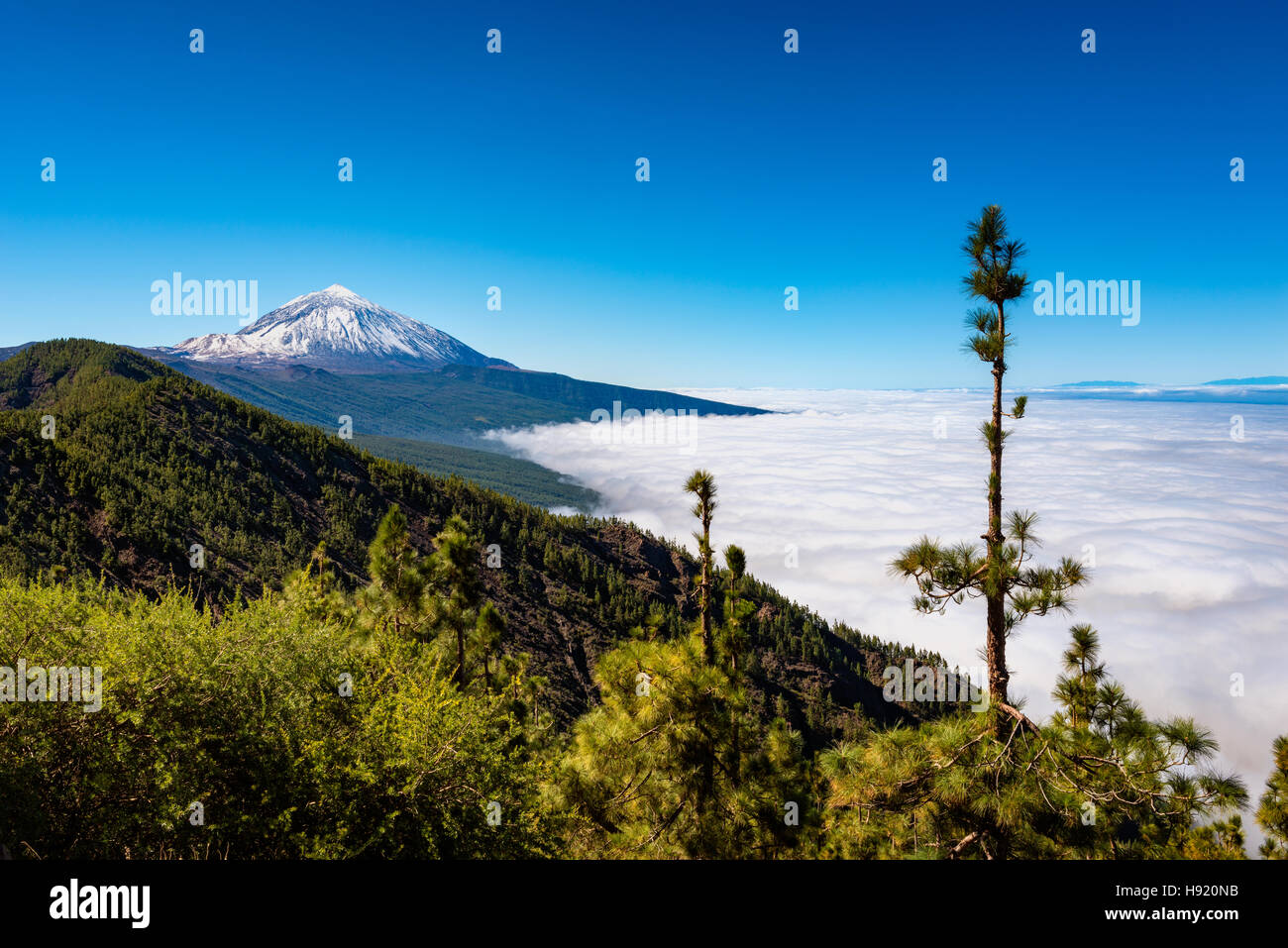 Il monte Teide Tenerife Foto Stock