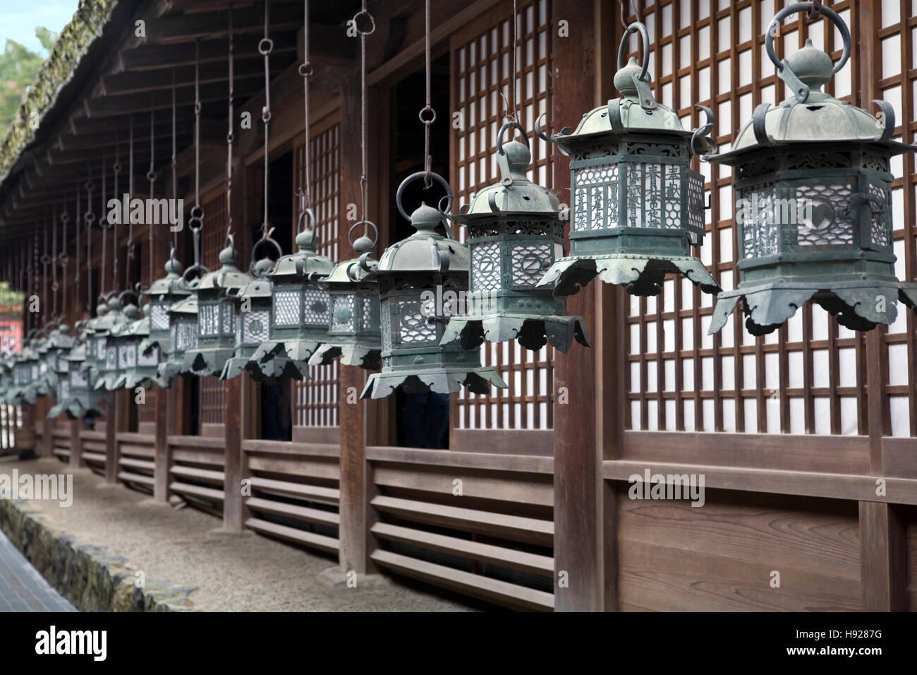 Le lanterne di bronzo al Kasuga Grand Santuario nella città di Nara in Giappone. Foto Stock