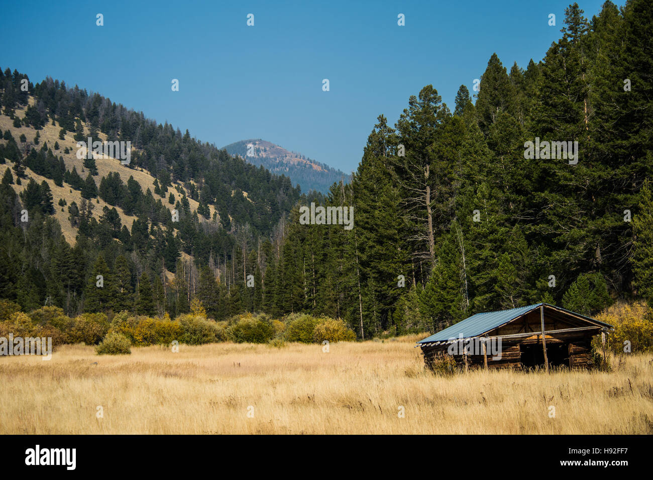 Old log cabin fienile in montagna Foto Stock