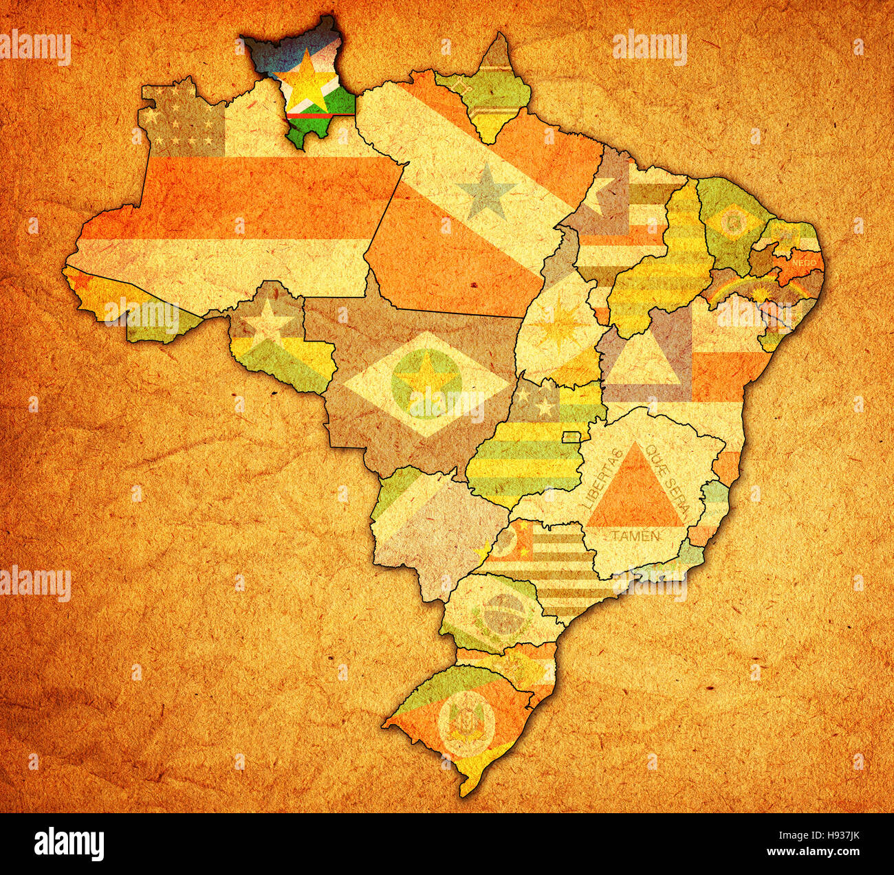 Stato di Roraima su admistration mappa del brasile con bandiere Foto Stock