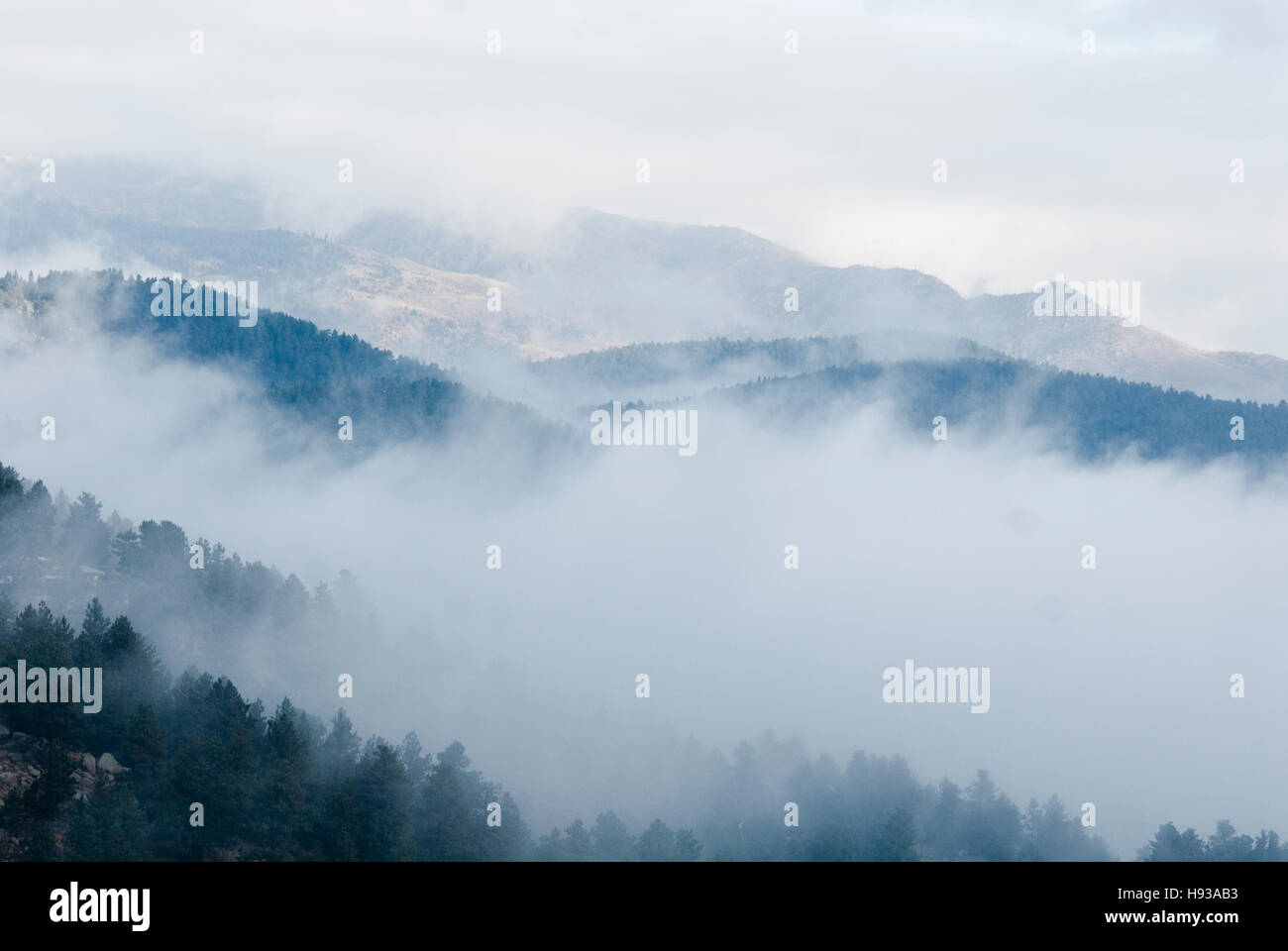 Banchi di nebbia nelle colline vicino a Boulder, CO Foto Stock