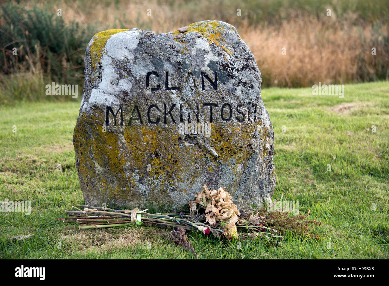 Battaglia di Culloden clan lapide marcatore (Clan Mackintosh). Foto Stock