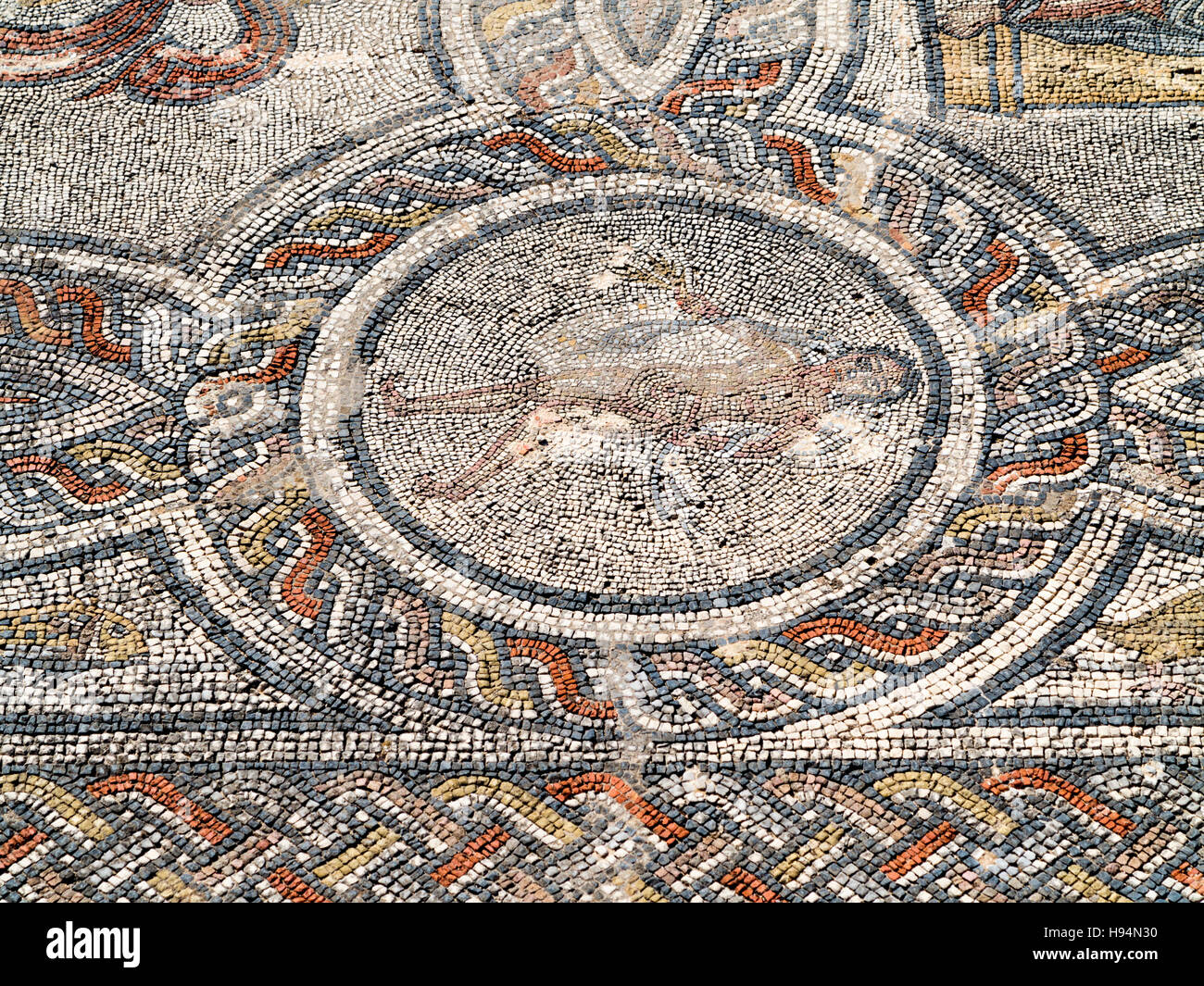 Particolari in mosaico della antica città di Volubilis nel massiccio Zerhoun area del Marocco Foto Stock