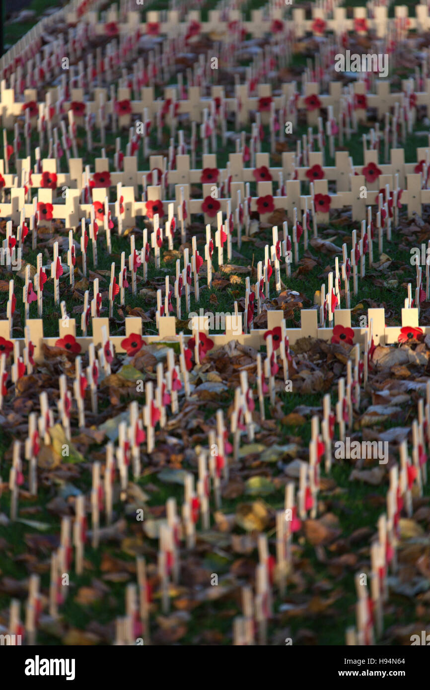 Città di Edimburgo in Scozia. Visualizzazione del Giorno del Ricordo attraversa e di papavero a Princes Street Gardens. Foto Stock