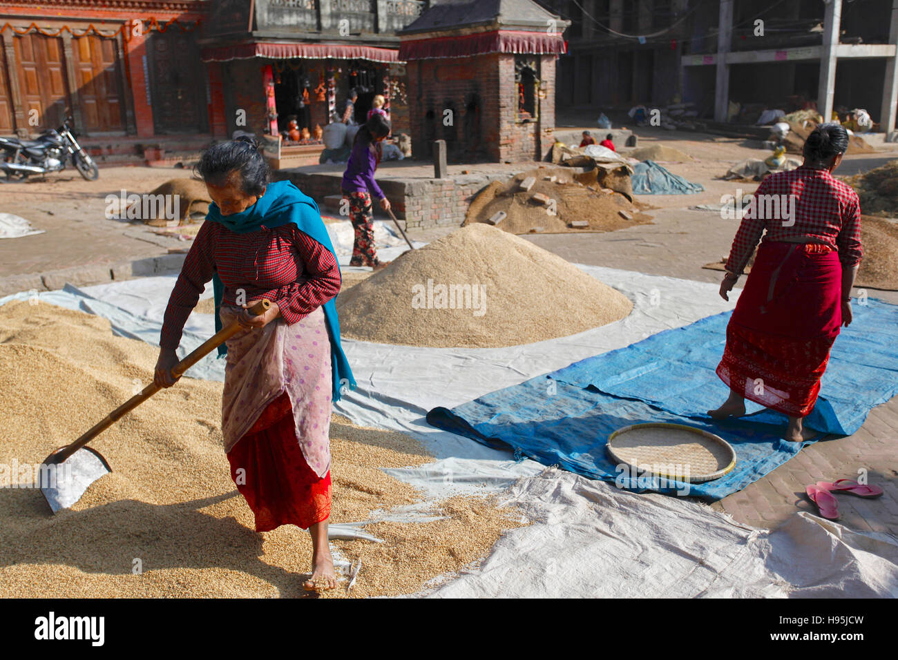Le donne che lavorano con il riso essiccazione in ceramica quadrata. Bhaktapur, Nepal. Foto Stock