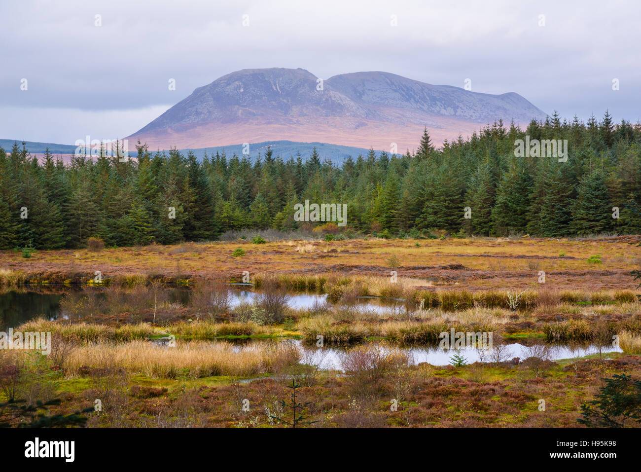 Vista del Beinn Bharrain e le colline Pirnmill, Isle of Arran, North Ayrshire, in Scozia Foto Stock