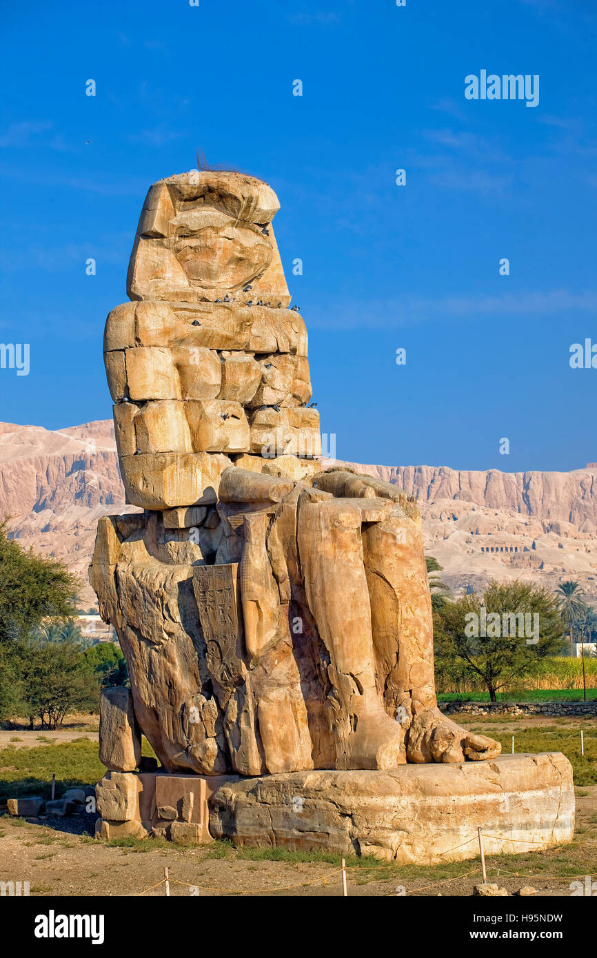 Colosso di Memnon vicino a Luxor, Egitto Foto Stock