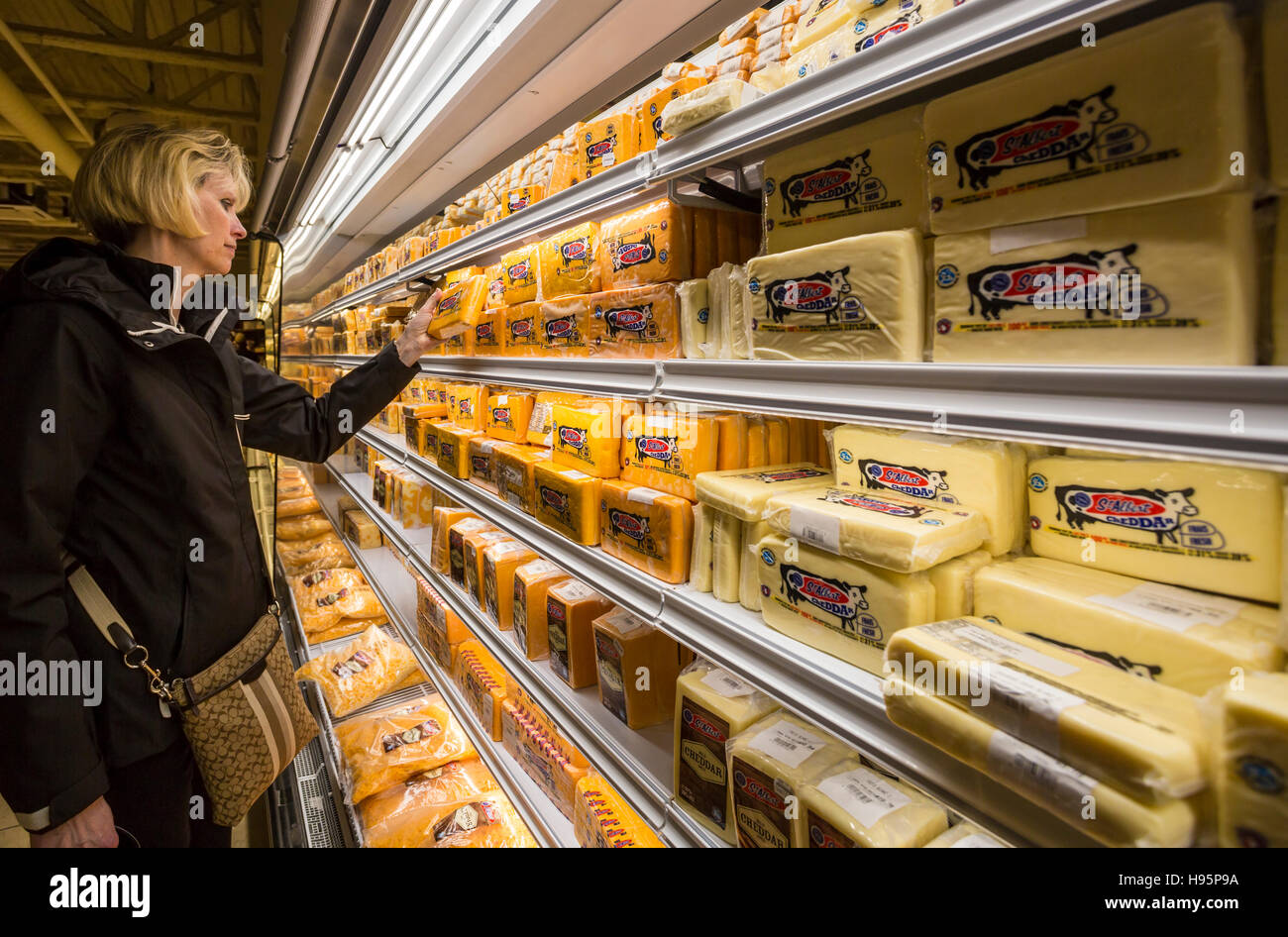 Donna acquisto di formaggio cheddar, Alberto formaggio Co-Operative, St Albert, Ontario, Canada Foto Stock
