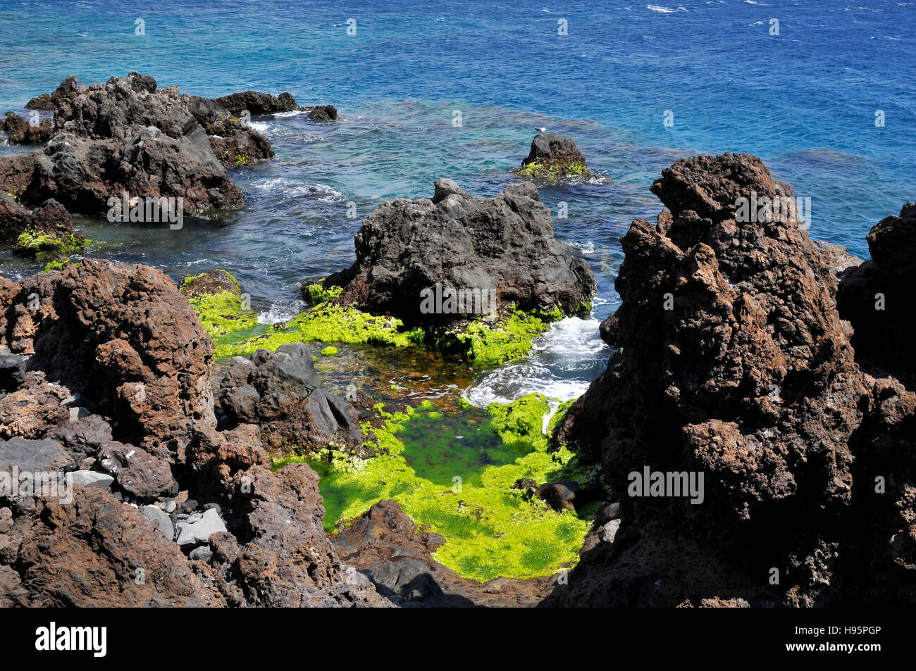 Costa rocciosa di San Juan con le alghe verdi a Tenerife nelle isole Canarie in Spagna Foto Stock
