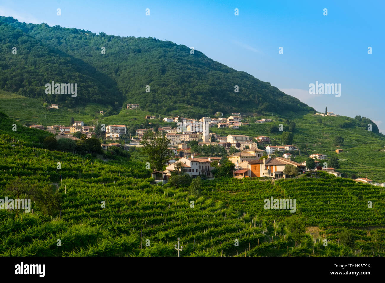 Santo Stefano villaggio e vigne vicine Valdobbiadene Foto Stock