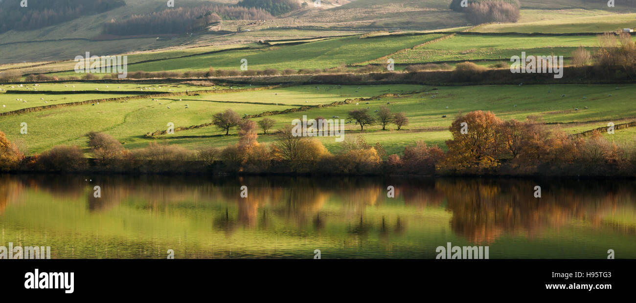 Il Peak District è un altopiano in Inghilterra dove la maggior parte della brughiera è trovato. Foto Stock