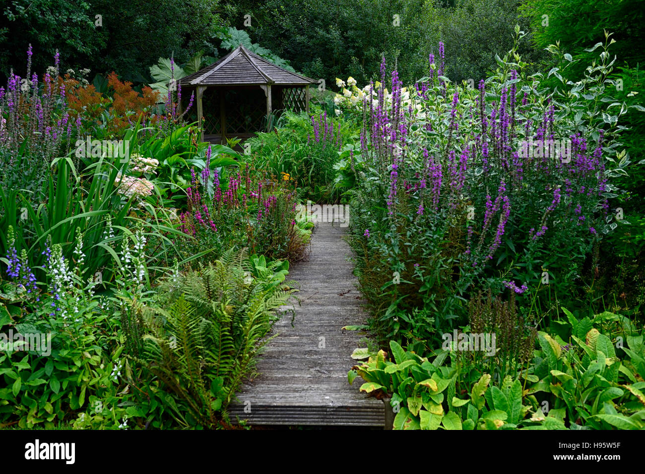 Gazebo in legno percorso ponte piombo miscela principale border letto misto Mostra perenne RM Floral Foto Stock Gazebo in legno percorso ponte piombo miscela principale border letto misto Mostra perenne RM Floral Foto Stock